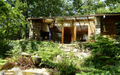 La Cabane, Fontainebleau